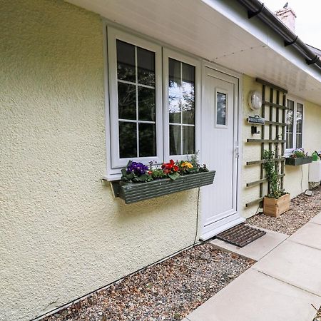Primrose Cottage Llandrindod Wells Eksteriør bilde